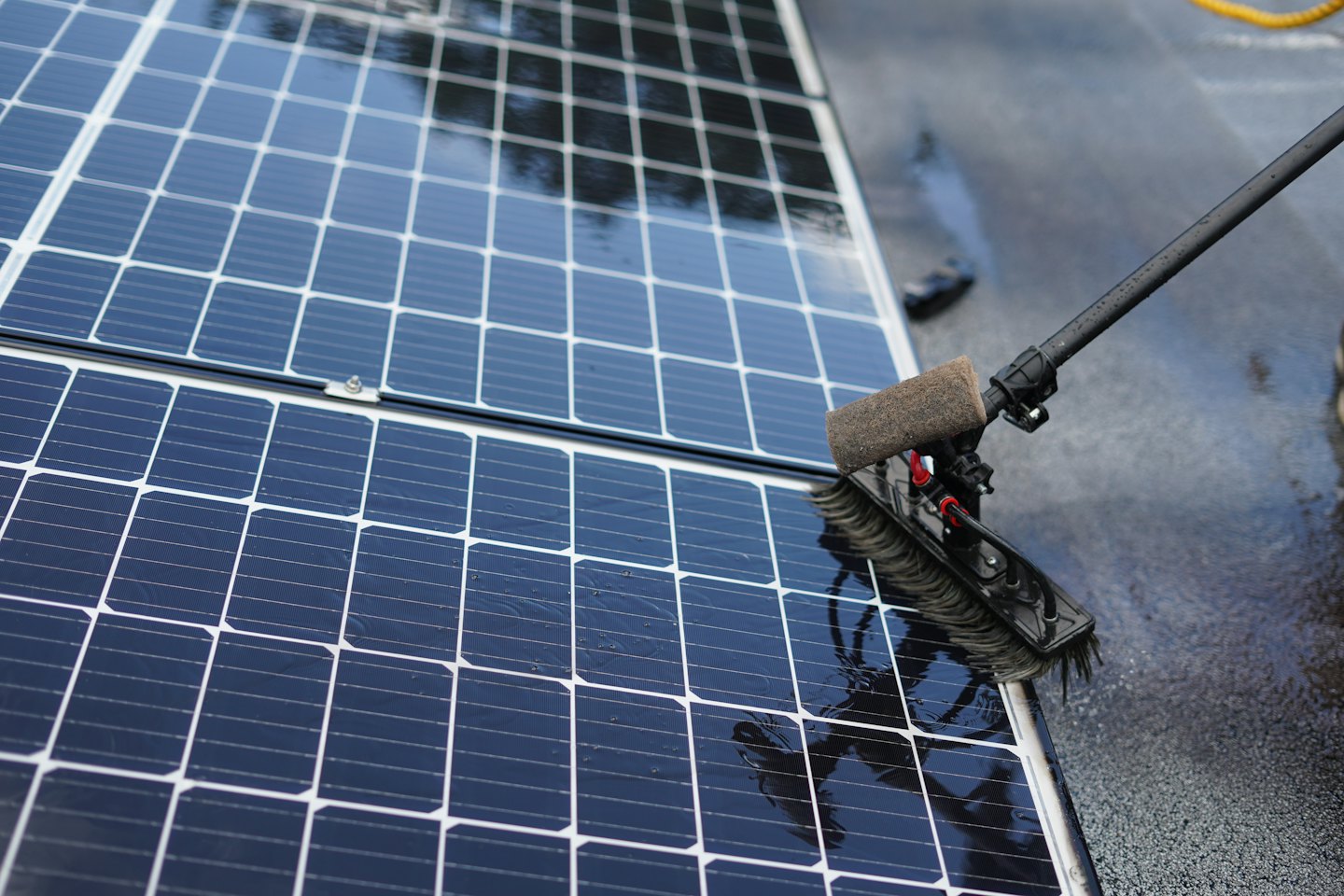 Worker cleans wet solar panels with a long-handled brush.